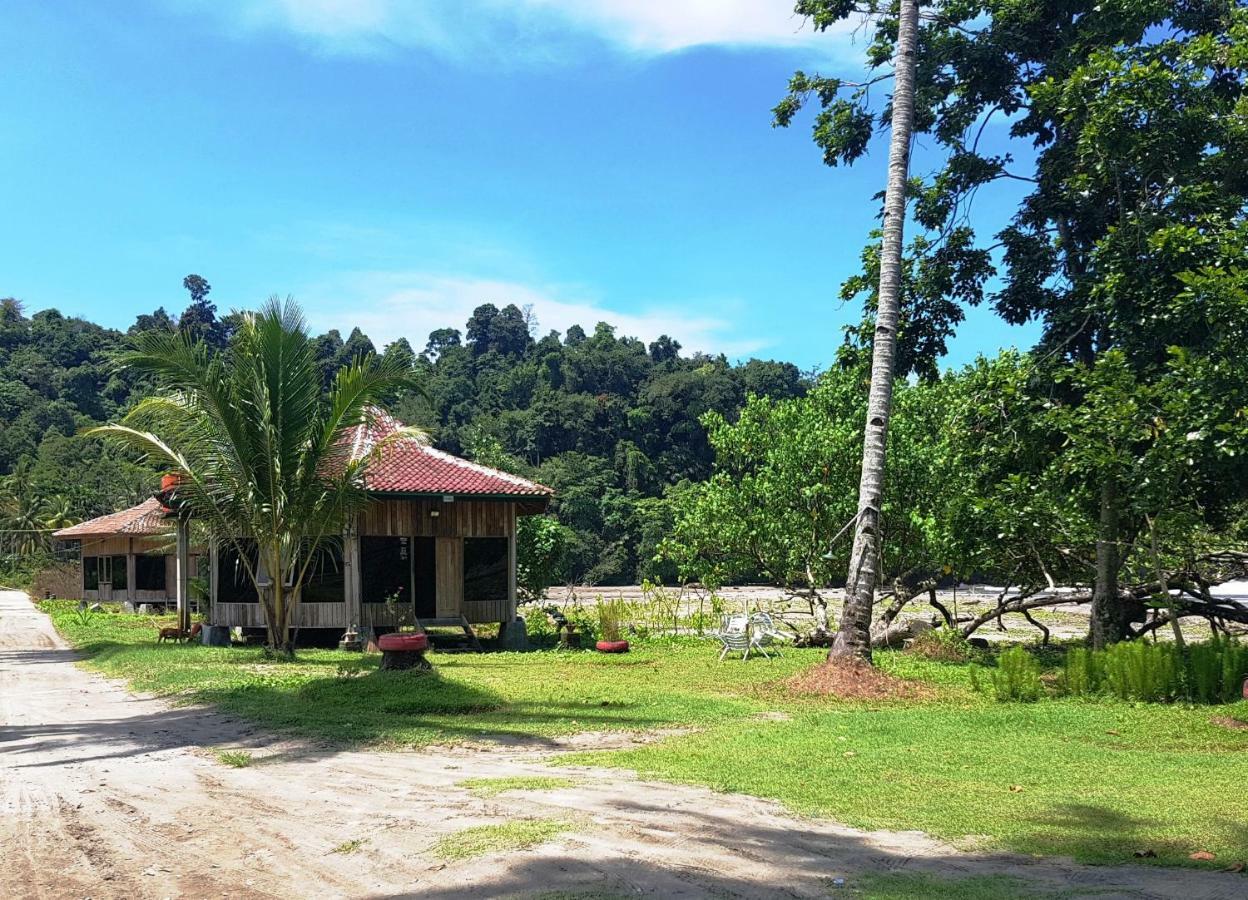 Revive Lampung Krui King Resort Exterior photo